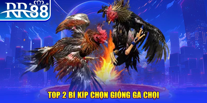 ae789 bắn cá h5