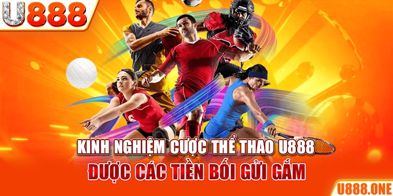 ae789 ÁT CHỦ BÀI GIÀNH LẤY ZHUANG NIUNIU ( XEM 3 LÁ )