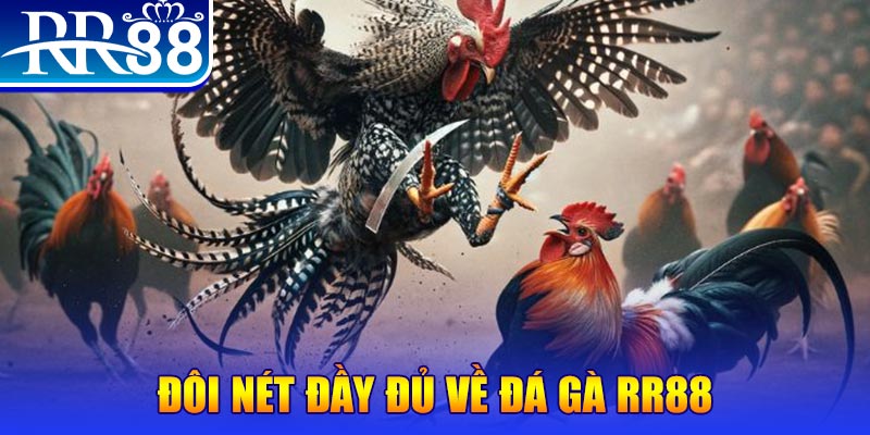 ae789 gà chọi hoà phong