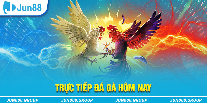 ae789 trực tiếp đá gà thomo