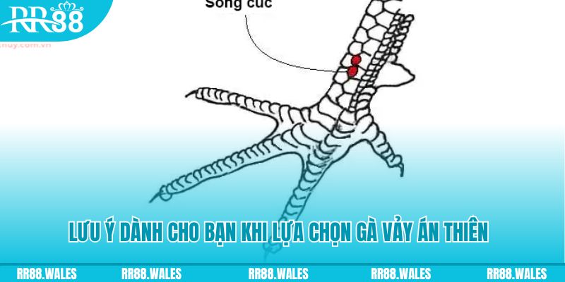ae789 xổ số khánh hòa