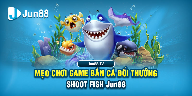 ae789 tải game đánh bài online về máy tính