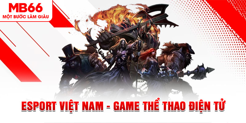 ae789 PT Điện Tử